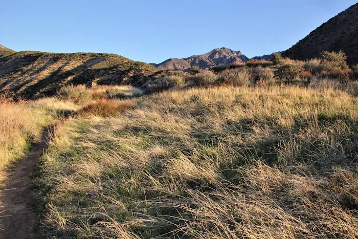 Sespe Hot Springs Palm Camp 3