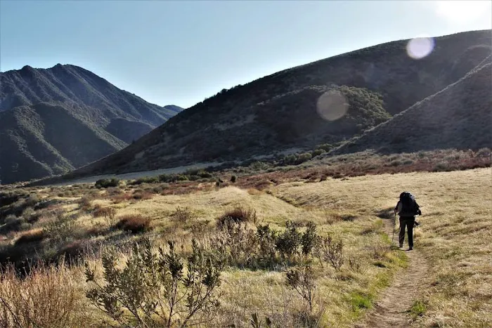 Sespe Hot Springs Palm Camp 0