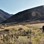 Sespe Hot Springs Palm Camp