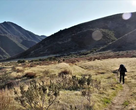 Sespe Hot Springs Palm Camp