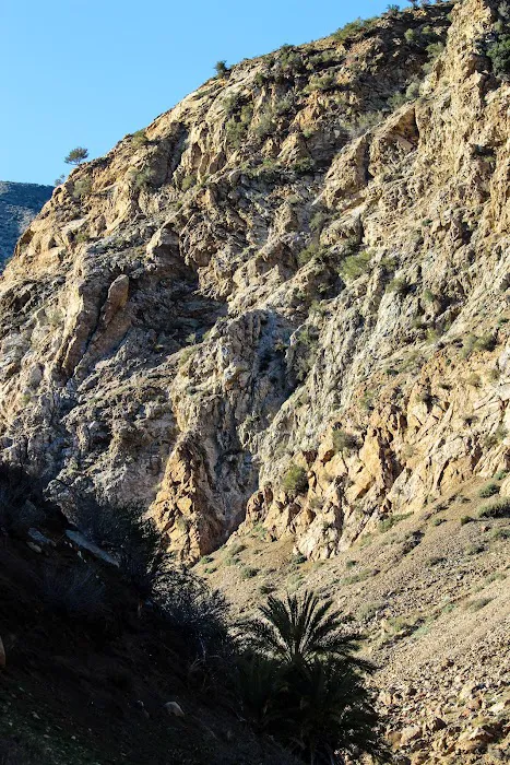 Sespe Hot Springs Palm Camp 4