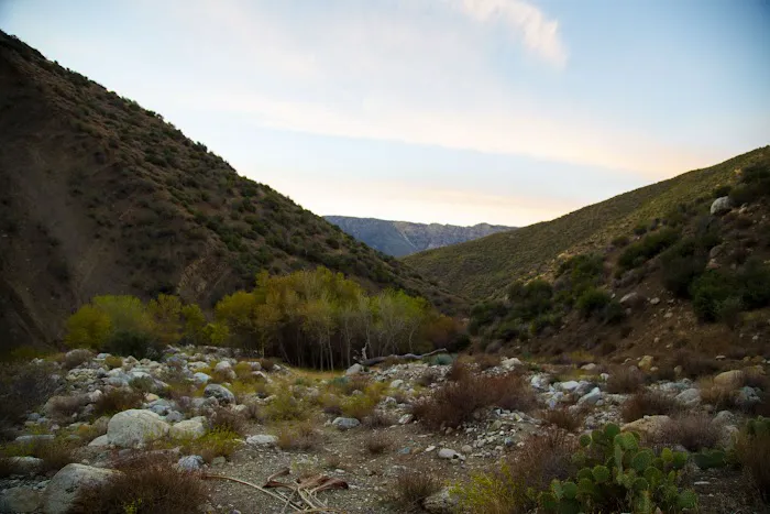 Sespe Hot Springs Palm Camp 7