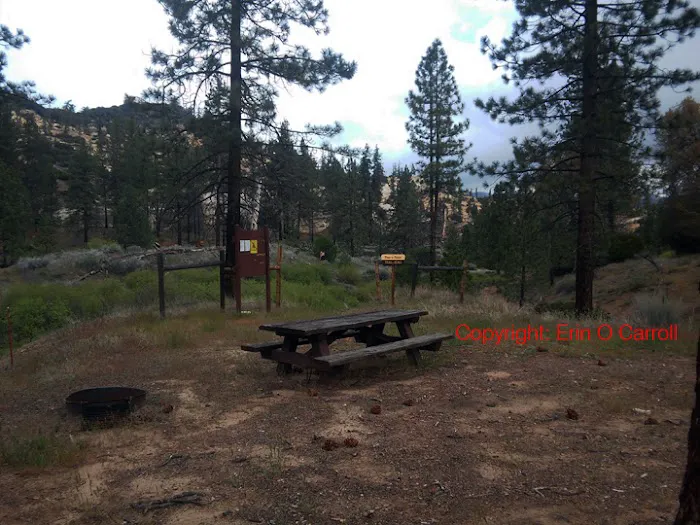Thorn Meadows Campground 2