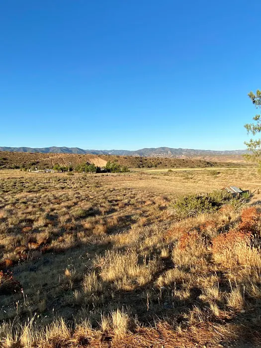 Songdog Ranch 0