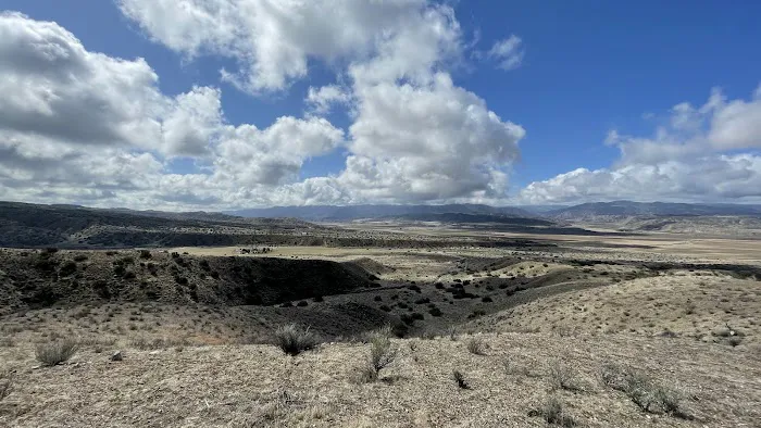 Songdog Ranch 6