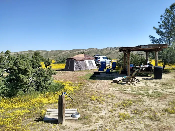 Songdog Ranch 7