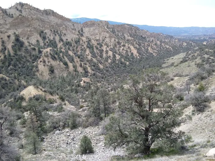 Dome Spring Campground 1