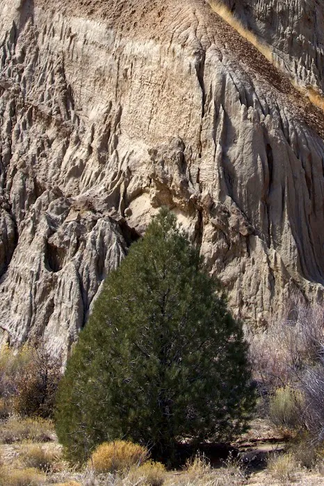 Dome Spring Campground 5