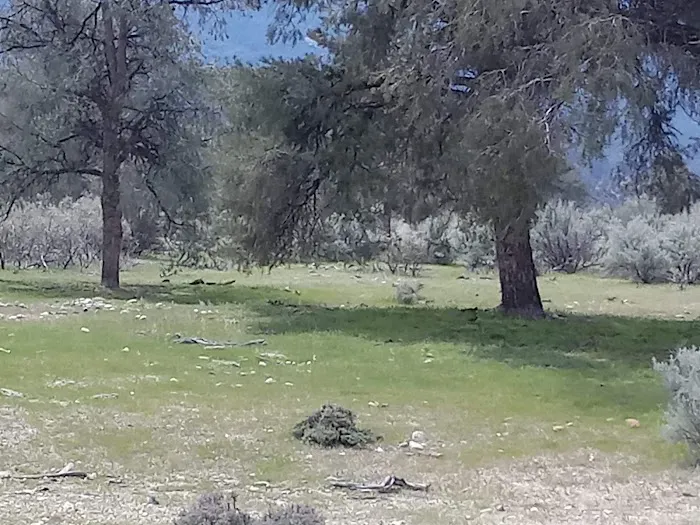 Dome Spring Campground 4