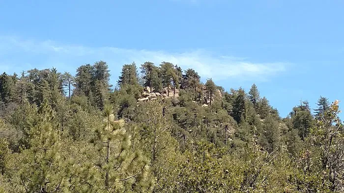 Chorro Springs Campground 0