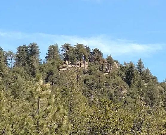 Chorro Springs Campground