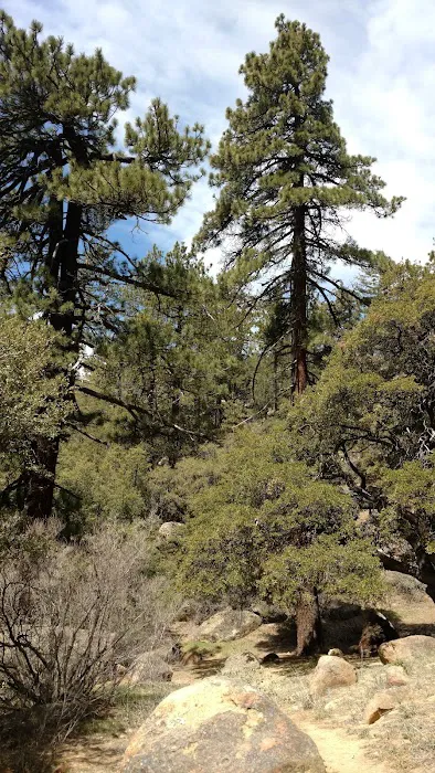 Chorro Springs Campground 1