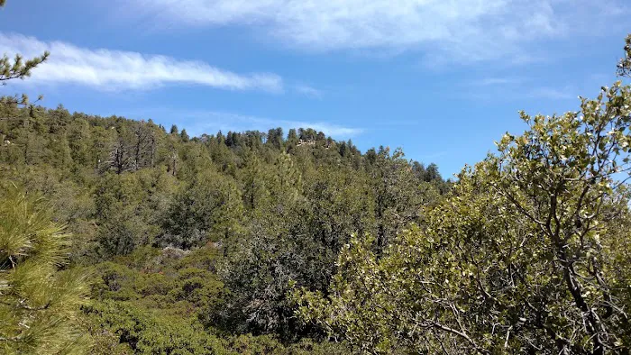 Chorro Springs Campground 3