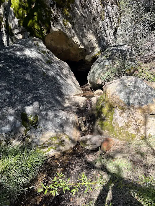 Chorro Springs Campground 4