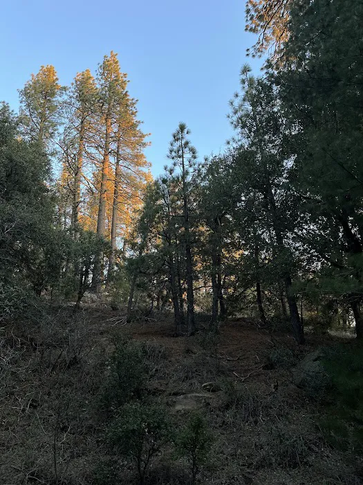 Chorro Springs Campground 5