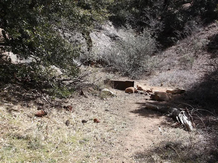 Chorro Springs Campground 8
