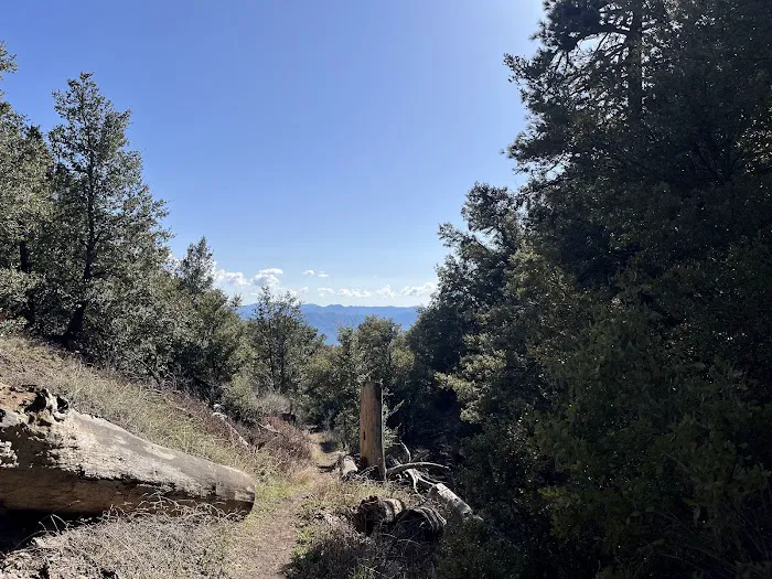 Chorro Springs Campground 6