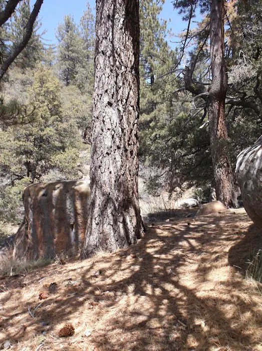 Chorro Springs Campground 7