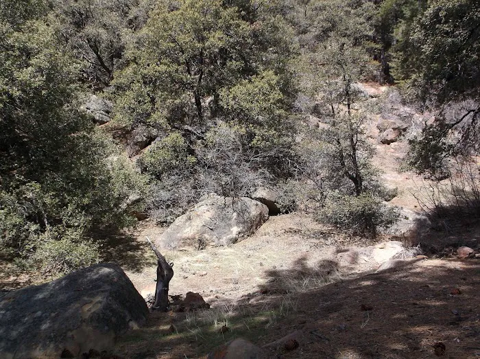 Chorro Springs Campground 9
