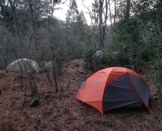 Upper Reyes Trail Camp