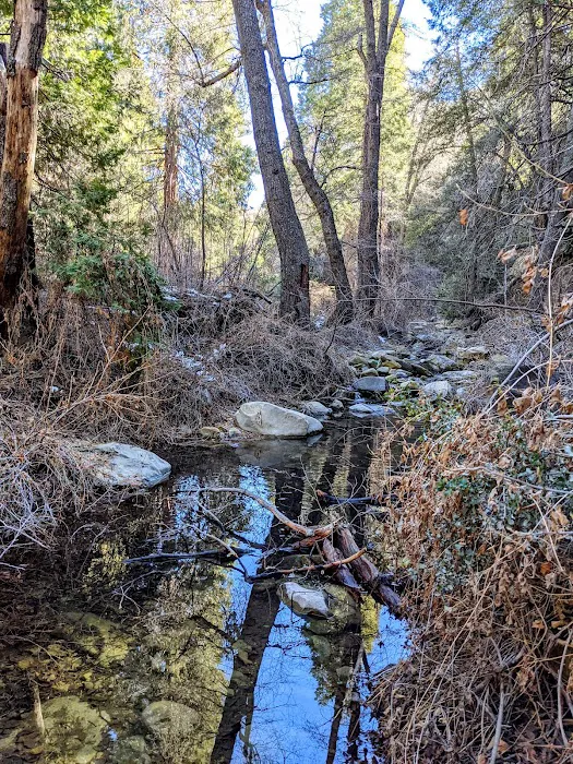 Beartrap Trail Camp 1