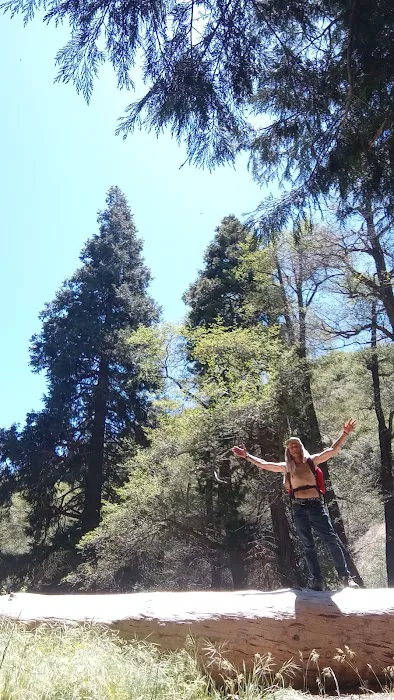 Beartrap Campground 0