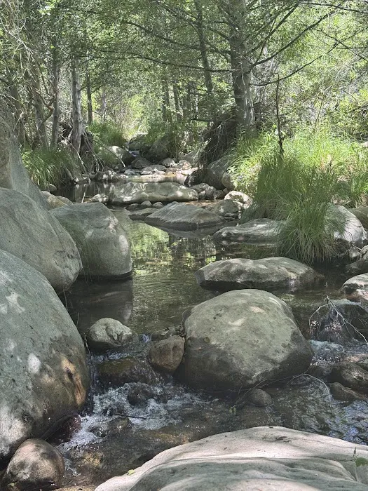 Piedra Blanca Camp 2