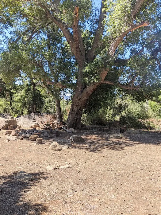 Piedra Blanca Camp 1