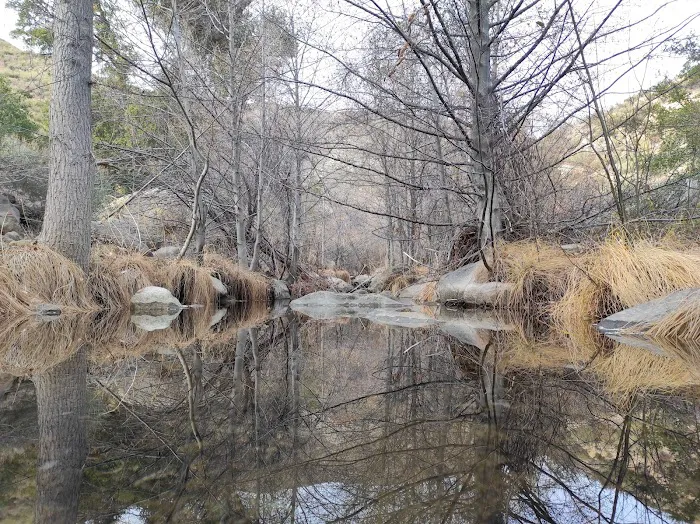 Piedra Blanca Camp 3