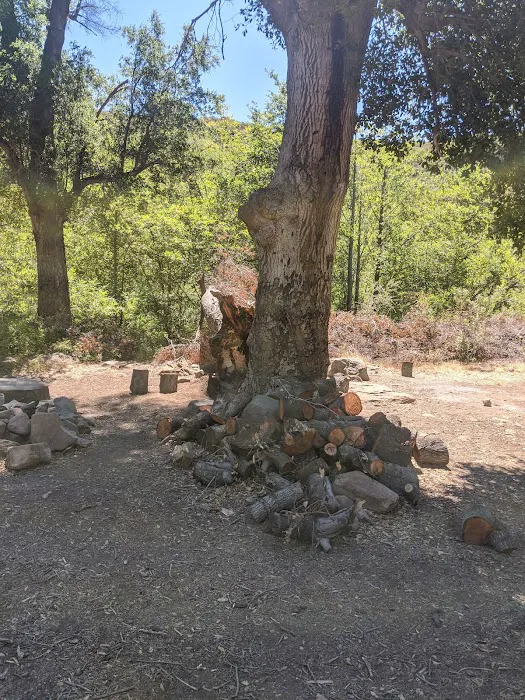 Piedra Blanca Camp 6