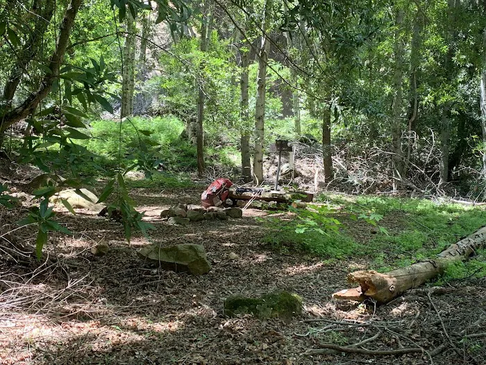 Lower Bear Camp 2