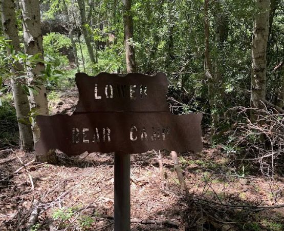 Lower Bear Camp