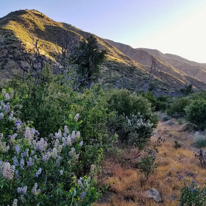 Heath Campground 2