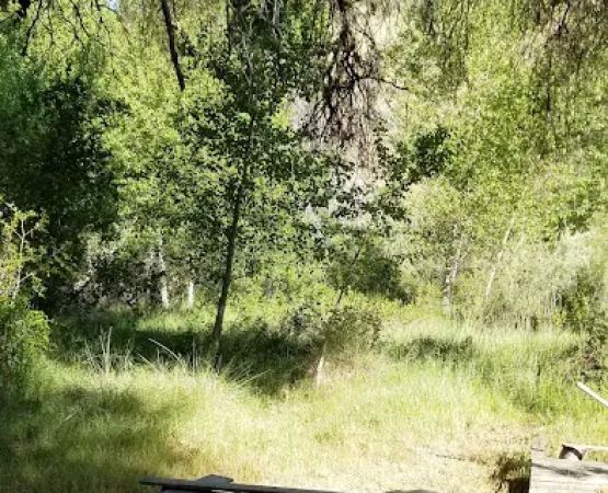 Cottonwood Camp