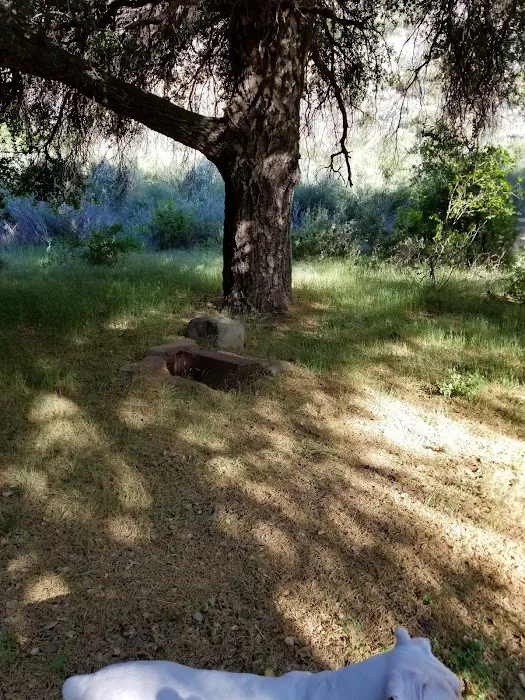 Cottonwood Camp 2