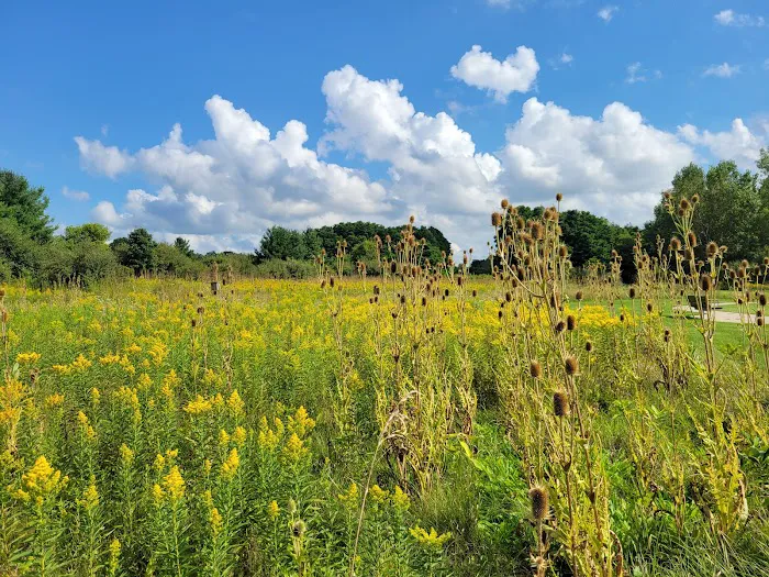 Sleepy Hollow State Park 8