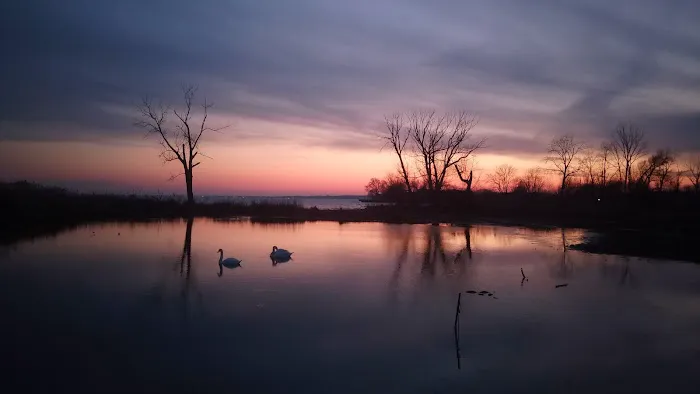 Lake St Clair Metropark campgrounds 0