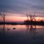 Lake St Clair Metropark campgrounds