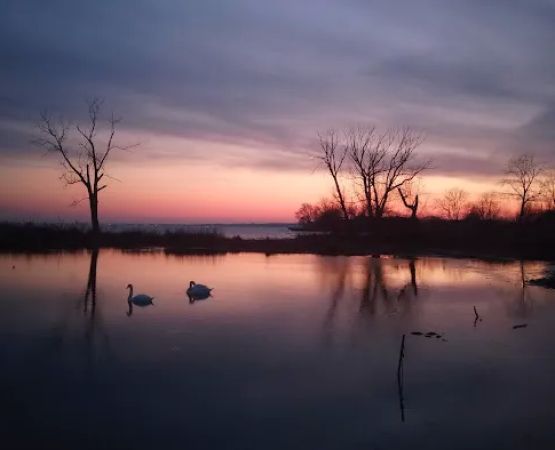 Lake St Clair Metropark campgrounds