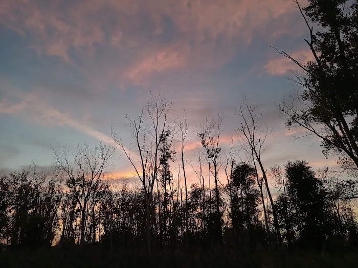 Lake St Clair Metropark campgrounds 6