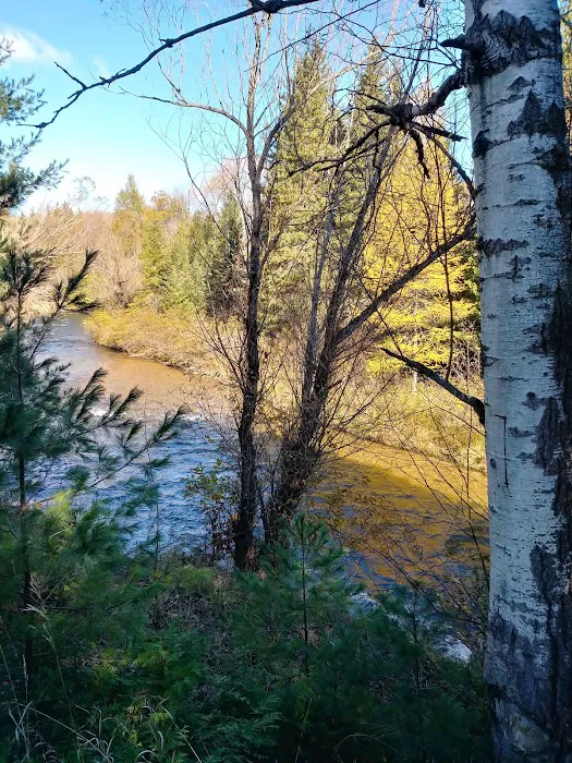 Haakwood State Forest Campground 1