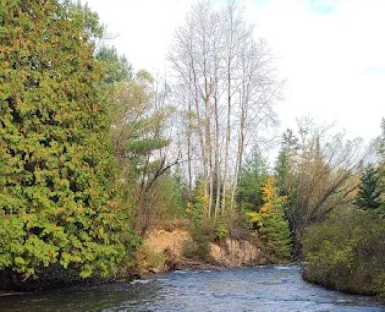 Haakwood State Forest Campground