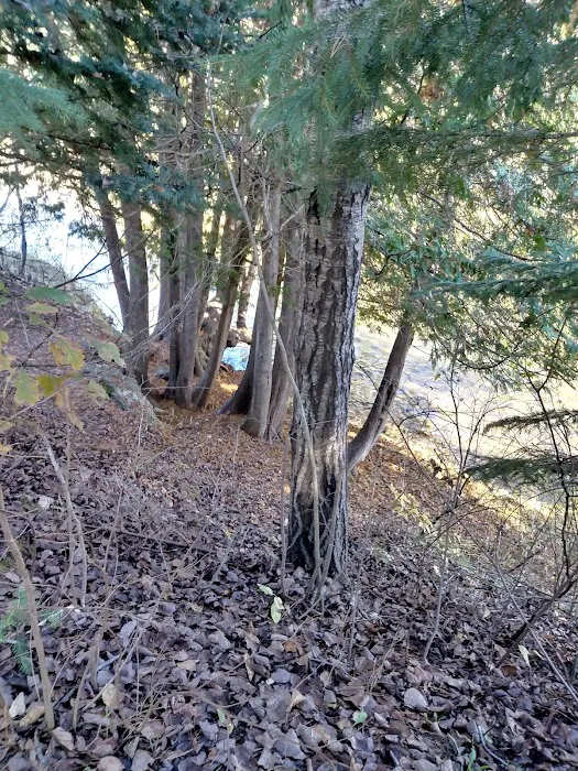 Haakwood State Forest Campground 9