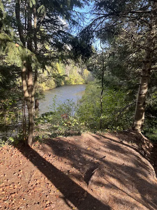 Haakwood State Forest Campground 8