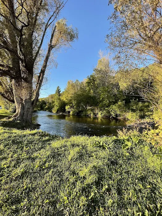 Sturgeon River Campground 5