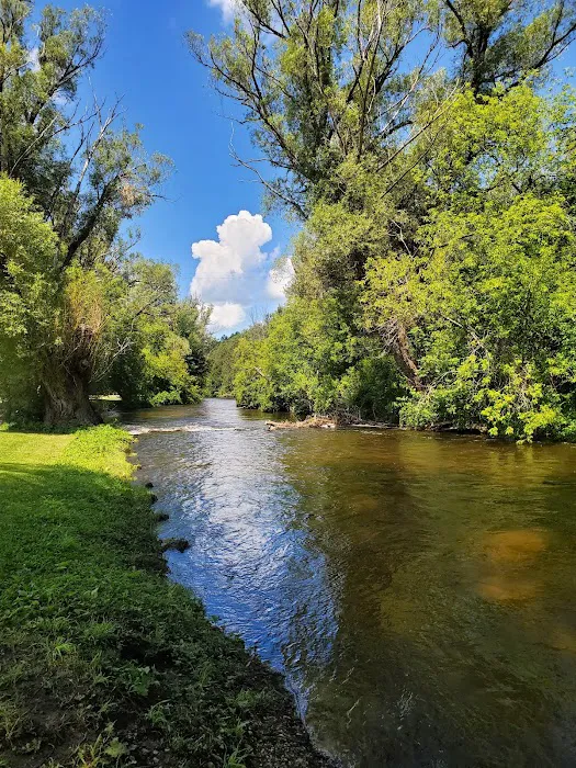 Sturgeon River Campground 4