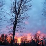 Pigeon Bay Campground