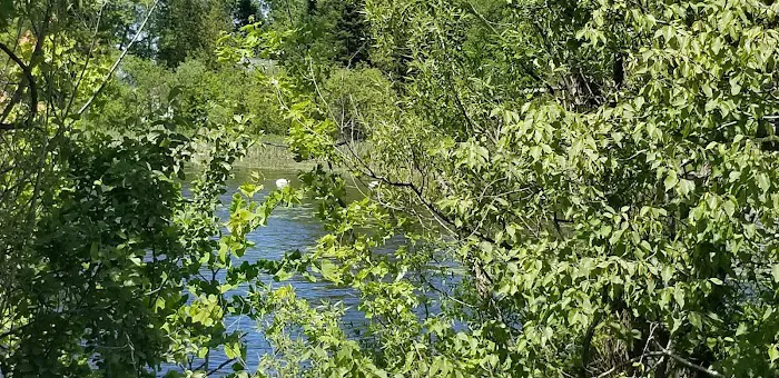 Pigeon Bay Campground 8
