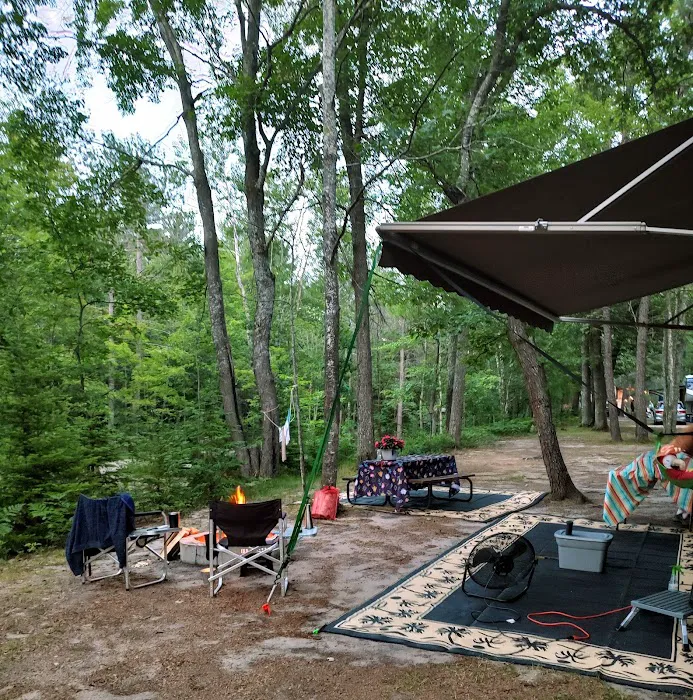 Twin Bears Wooded Campground 3