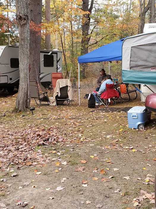 Michigan Oaks Camping Resort 2